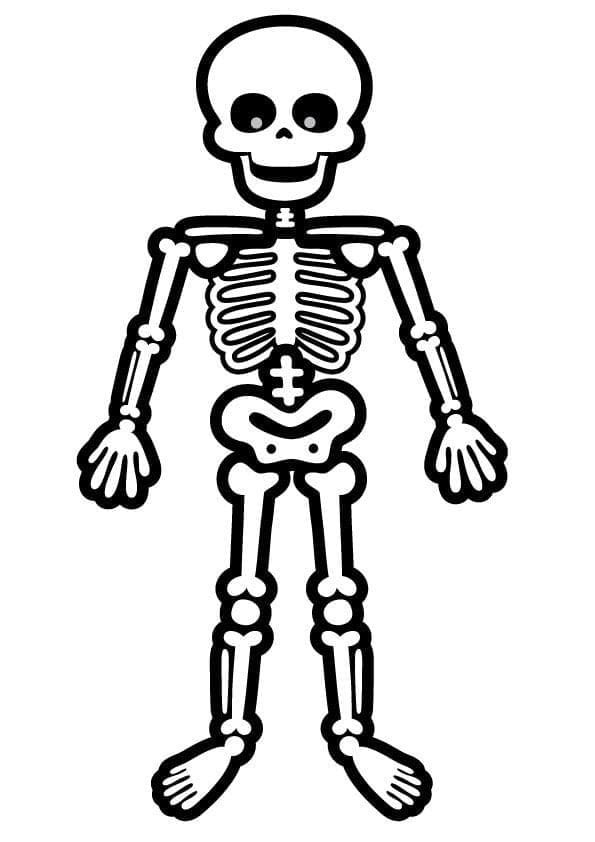 Coloring Page Easy Skeleton