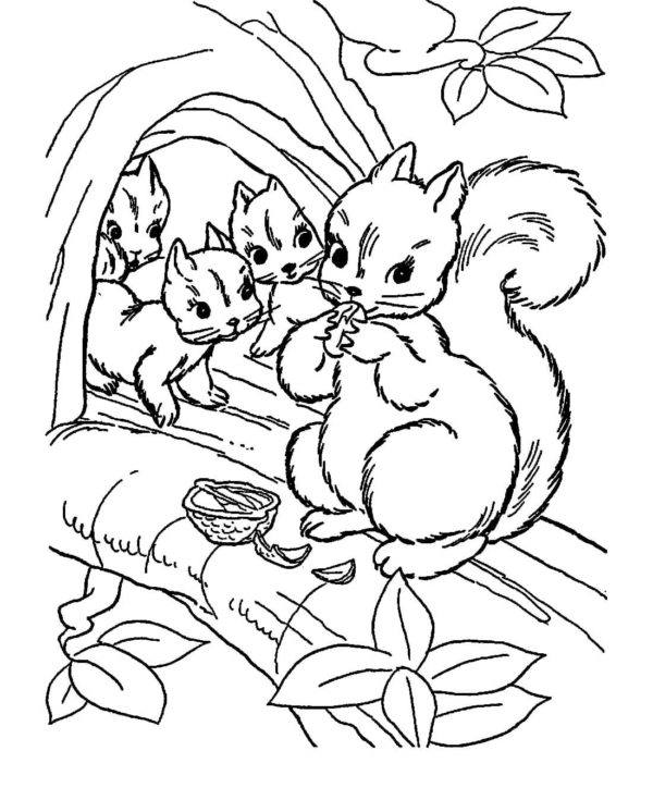 Eichhörnchen Mutter schält Nüsse ihre Babys